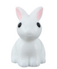 Miniature Rabbit Resin Craft