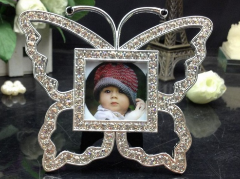 Crystal Zinc Butterfly Frame