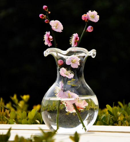 Transparent Glass Vase